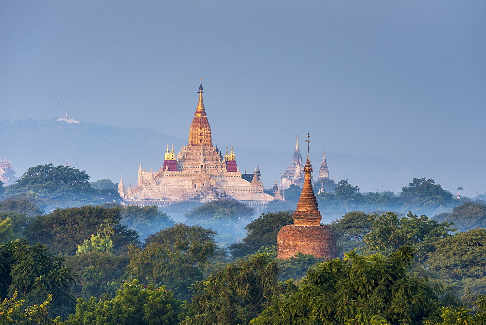 Ananda Temple in the morning fog, blue hour, gilded tower structure or Shikhara, stupas, pagodas, temple complex, Plateau of Bagan, Mandalay Division, Burma or Myanmar