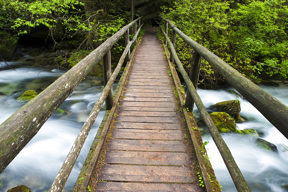 Wooden footbridge over brook with moss-covered stones, Golling Waterfall, Salzburg, Austria, Europe