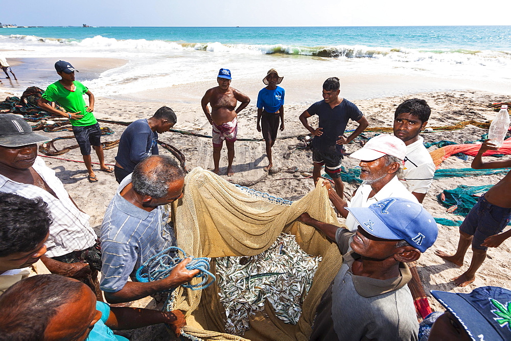 Fishermen, day labourers, examining a meagre catch in a net on the beach, near Kottegoda, Southern Province, Sri Lanka, Asia