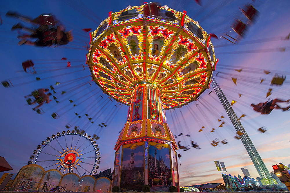 Rotating chain carousel and ferris wheel at the blue hour, Oktoberfest, Munich, Bavaria, Germany, Europe