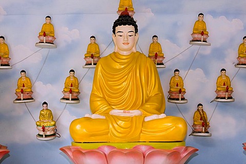 Buddha statues in the Quoc Tu Pagoda, Ho Chi Minh City, Saigon, Vietnam, Southeast Asia