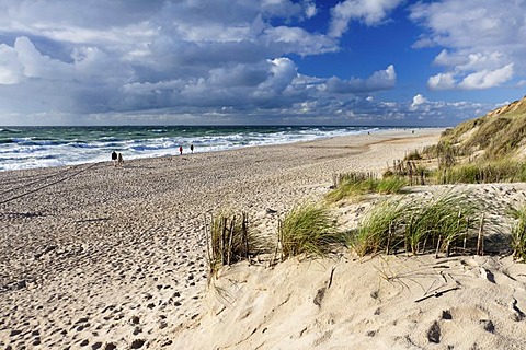 Stretch of beat at Rotes Kliff, red cliff, near Kampen on Sylt island, North Friesland district, Schleswig-Holstein, Germany, Europe