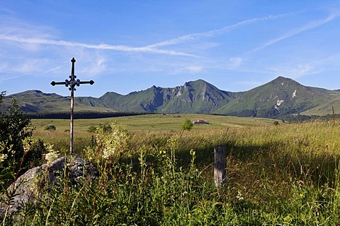 Fontaine Salee reserve, Auvergne Volcanoes Natural Regional Park, massif of Sancy, Puy de Dome, Auvergne, France, Europe