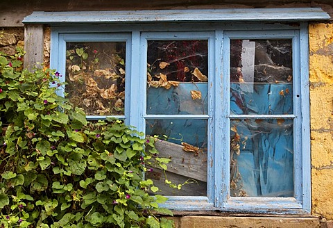 Blue window, Cordes sur Ciel, labelled Les Plus Beaux Villages de France, the Most Beautiful Villages of France, France, Tarn, Europe