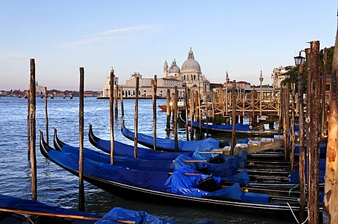 Gondolas, Punta del Dogana, San Marco district, Venice, UNESCO World Heritage Site, Venetia, Italy, Europe