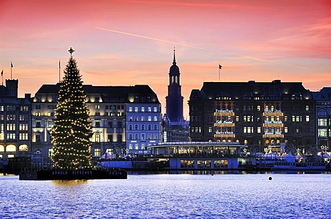 Binnenalster or Inner Alster Lake at Christmas time with Alster fir tree and Church of St. Michael, Michaeliskirche, Michel, Hamburg, Germany, Europe