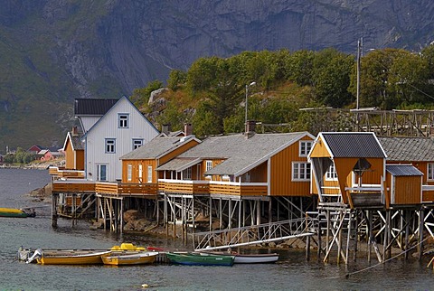 The yellow rorbuer huts, rorbu, of the tiny village Sakrisoy in the early morning, Sakrisoy, Sakrisoy, island of Moskenesoy, Moskenesoy, Lofoten archipelago, Reine, Nordland, Norway, Europe