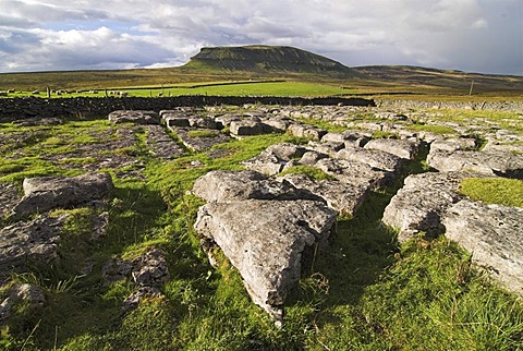 Limestone and Pen-Y-Ghent at back, Yorkshire Dales, England, United Kingdom, Europe