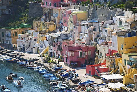 The colorful houses of the fishing harbour of Procida island, Flegrean Islands, Gulf of Naples, Campania, southern Italy, Europe