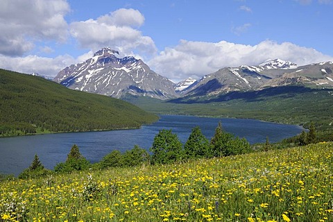 Rising Wolf Mountain, Two Medicine Mountain Lake, Glacier National Park, Rocky Mountains, Montana, USA