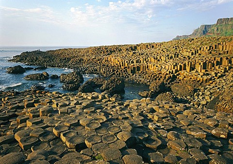 Giant's Causeway, County Antrim, Northern Ireland, United Kingdom, Europe