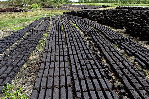 Peat cutting between Doon and Clonmacnoise, County Offaly, Ireland, Europe