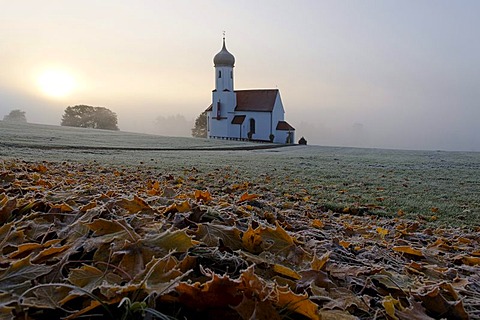 St. Johannisrain Chapel near Penzberg, with morning fog and hoar frost, Upper Bavaria, Germany, Europe