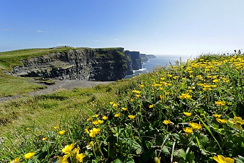 Cliffs of Moher, County Clare, Ireland, Europe