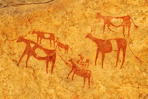 Painted cows, neolithic rock art at Tin Meskis, Adrar n'Ahnet, Algeria, Sahara, North Africa