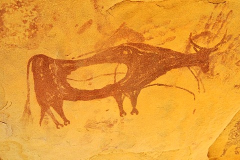 Painted cow, neolithic rock art at Arakokem, Adrar Tekemberet, Immidir, Algeria, Sahara, North Africa