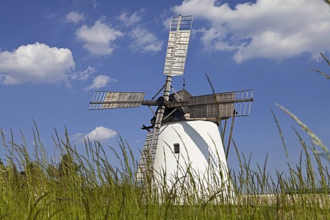 Windmill in Retz, Weinviertel Region, wine quarter, Lower Austria, Austria, Europe