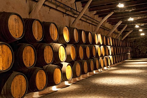 Barrels, Sandeman storehouse, Vila Nova de Gaia, Porto, Portugal, Europe