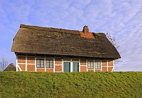 Farmer's cottage, thatched cottage, Guderhandviertel, Altes Land area, Lower Saxony, North Germany, Germany, Europe