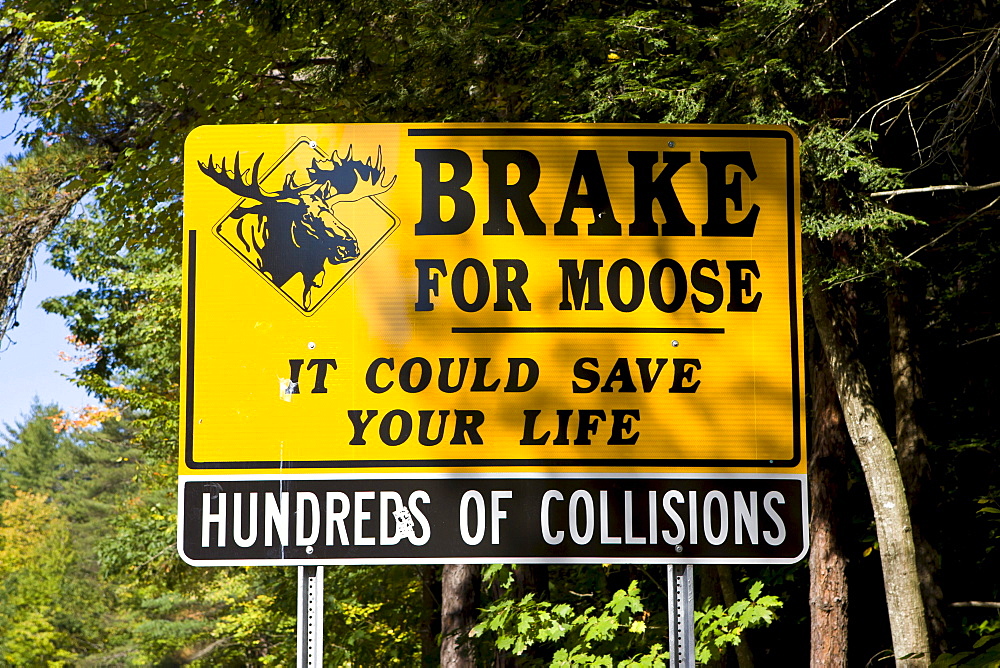 Warning sign on a road, brake for moose, New Hampshire, New England, USA