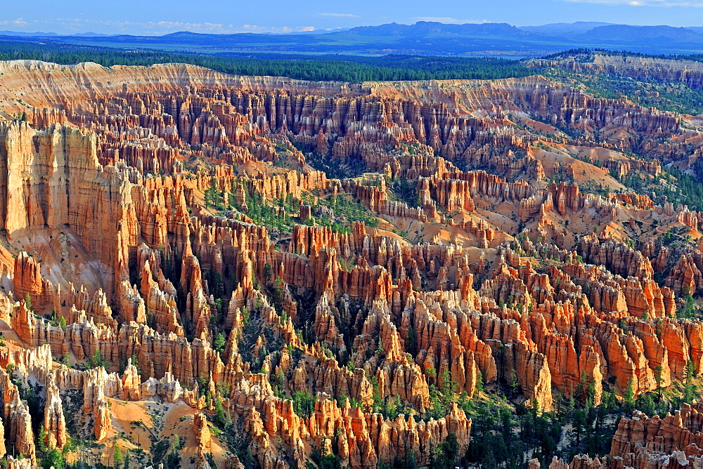 Rock formations and hoodoos, Bryce Canyon in the morning light, Bryce Canyon, Utah, USA