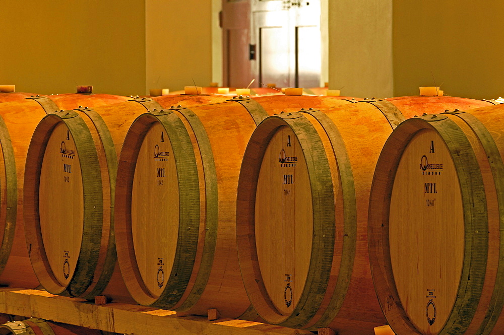 Wine barrels, Chianti, Castello di Brolio cellar, Brolio Castle Cellar, Ricasoli Vineyard, Siena Province, Tuscany, Italy, Europe