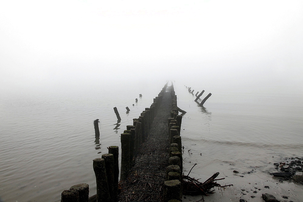 Breakwaters, wooden groynes, on the western beach, island protection, coastal protection, fog, autumn, North Sea island of Spiekeroog, Lower Saxony, Germany, Europe