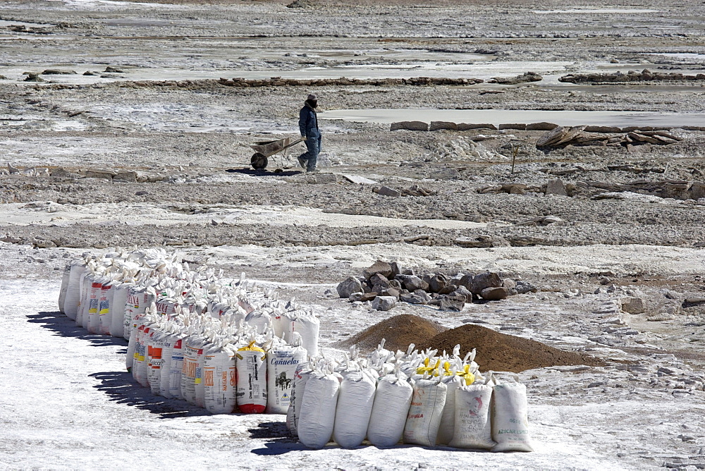 Salt worker with a wheelbarrow, flour sacks packed with salt at a salt lake, Altiplano, Potosi, southern Bolivia, South America