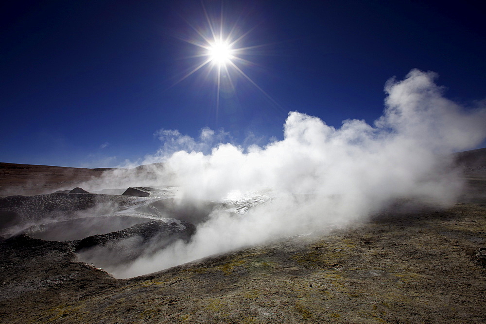 Sol de Manana geothermal field, Manana in Andina Eduardo Abaro National Park, Altiplano, Potosi, southern Bolivia, South America