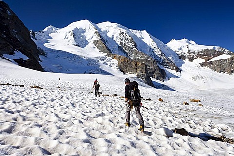 Climbers during the ascent to Piz Palue Mountain on the Pers Glacier, looking towards Piz Palue Mountain, with Bellavista on the left, Grisons, Switzerland, Europe