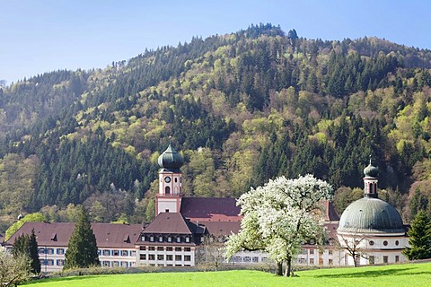 St. Trudpert's Abbey, Muenstertal Valley, Black Forest, Baden-Wuerttemberg, Germany, Europe