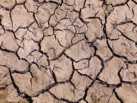 Extremely dried-out soil, Lake Neusiedl, Burgenland, Austria, Europe