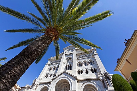 Saint Nicholas Cathedral, Notre-Dame-Immaculee Cathedral, neo-Romanesque, a palm tree next to it, Monte Carlo, principality of Monaco, Cote d'Azur, Mediterranean, Europe, PublicGround