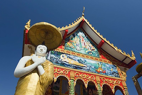 Buddha statue, Buddhist temple, Wat Dong Palan, Vientiane, Laos, Indochina, Asia