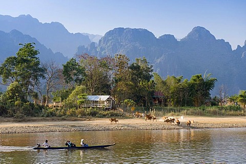 Herd of buffaloes and canoe on the Nam Song River, karst mountains, Vang Vieng, Vientiane, Laos, Indochina, Asia