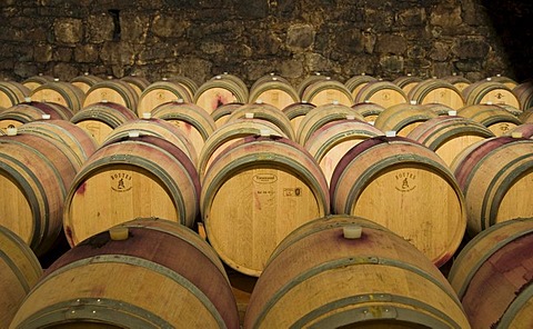 Wine aging in oak barrels at winery in Bolzano, Bozen, Trentino-Alto Adige, Italy, Europe