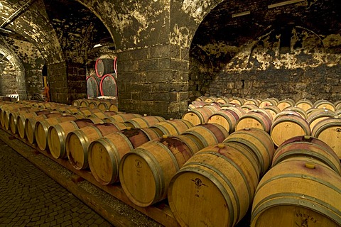 Wine aging in oak barrels in vaulted wine cellar in Bolzano, Bozen, Trentino-Alto Adige, Italy, Europe