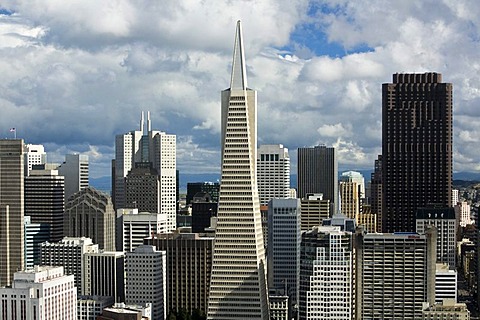 View from Coit Tower towards the Financial Center with the Transamerica Pyramid, San Francisco, California, USA