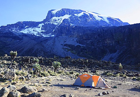 Karanga Camp, Mount Kilimanjaro, Tanzania, Africa