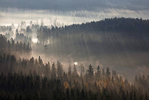 Early morning with autumn mist near Schluchsee Lake, from Riesenbuehl observation tower, Black Forest, Baden-Wuerttemberg, Germany, Europe, PublicGround