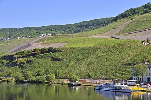 View from Kues across the Moselle River towards the vineyards of Bernkastel, Bernkastel-Kues, Rhineland-Palatinate, Germany, Europe, PublicGround