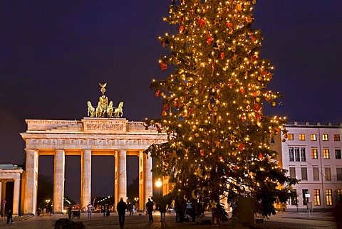 Brandenburg Gate at night, Christmas tree, Mitte, Berlin, Germany, Europe