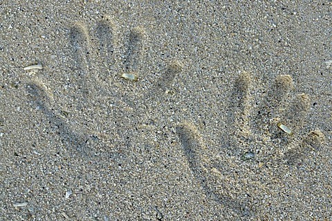 Wedding rings and hand prints in the sand on the beach of Pointe aux Piments, Mauritius, Africa