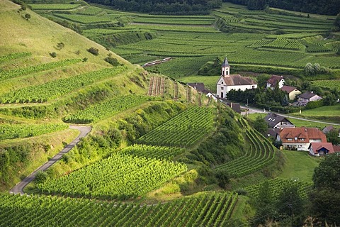 Alt-Vogtsburg and vineyards, Kaiserstuhl mountain range, Baden-Wuerttemberg, Germany, Europe
