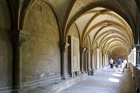 Naumburg Cathedral of St. Peter and St. Paul, Naumburg, Saxony-Anhalt, Germany, Europe