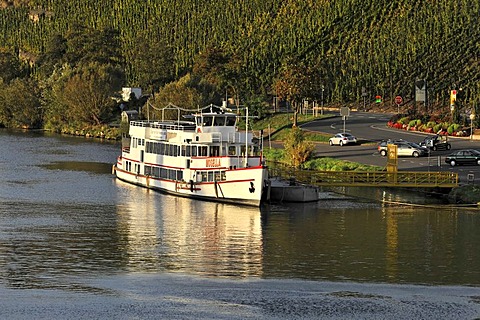 Cruise ship Mosella at a pier, built in 1927, commissioned in 1990, Moselle River at Bernkastel, Bernkastel-Kues, Rhineland-Palatinate, Germany, Europe