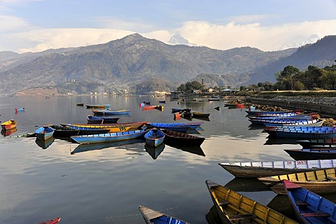 Rowing boats, view of the Phewa Lake, Pokhara, Nepal, Asia