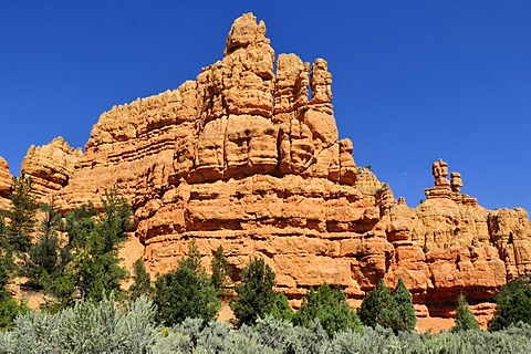 Claron rock formation, Dixie National Forest, Utah, USA, North America