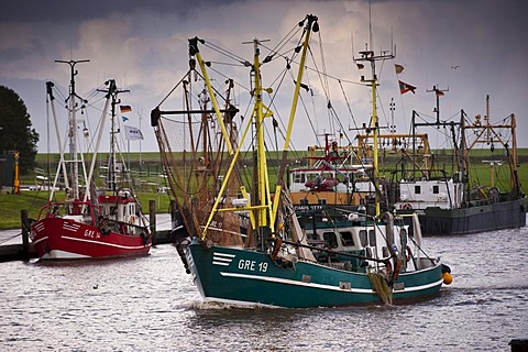 Shrimp trawler or shrimper in the harbour of Greetsiel, East Frisia, Lower Saxony, Germany, Europe