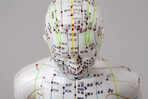 Acupuncture, a female model with marked acupuncture points labeled with Chinese characters on the meridians, detail head and torso, traditional Chinese medicine, TCM, the body's energy flow, Qi